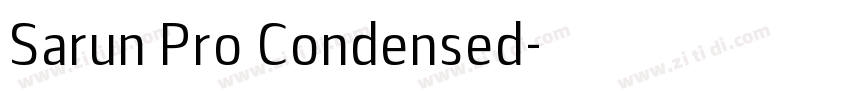 Sarun Pro Condensed字体转换